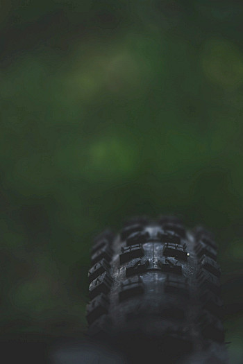 Luca Beani / Unsplash