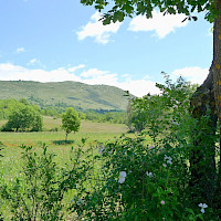 La segnatura del sentiero