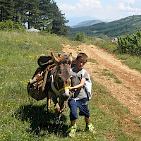 Prima tappa: verso Poggiofilippo