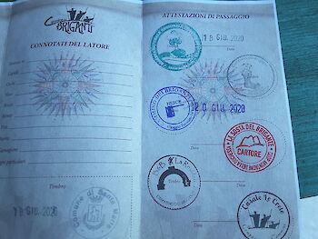 Raphael Rychetsky / Unsplash