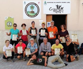 AnimGraph Lab / Unsplash