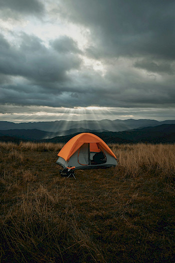 Clay Banks / Unsplash