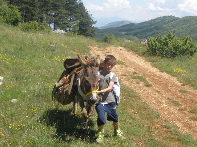 Cammino dei briganti