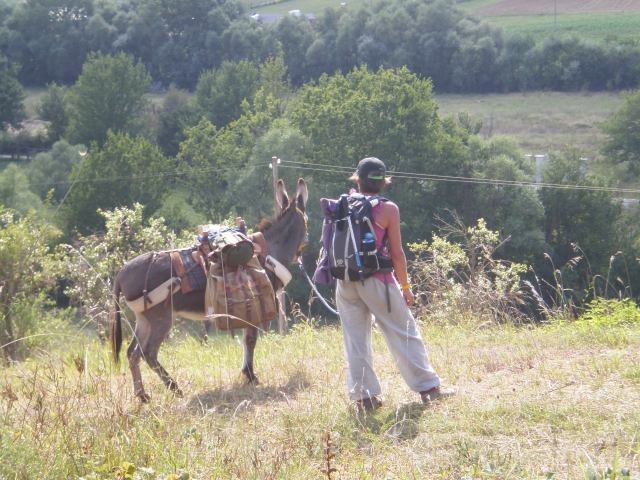 guardiani della valle