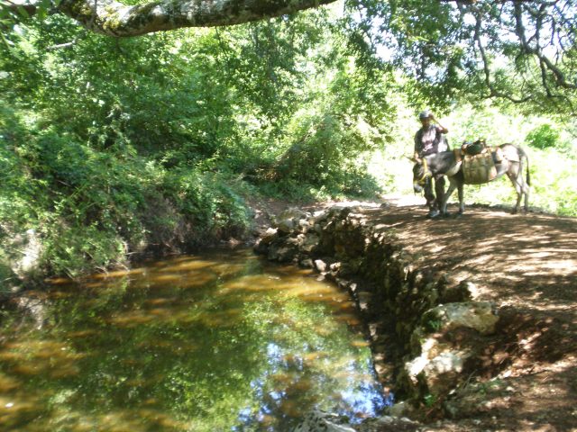 sancho panza e il suo destriero