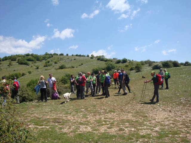 13268459_1130165273712204_6654255824128989306_o