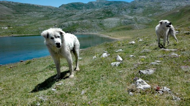 64807725_987048498345534_3788756746776870912_o