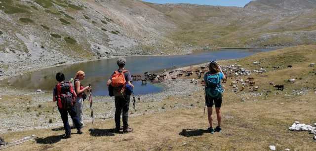 WhatsApp Image 2019-07-20 at 17.35.00